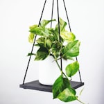 皇家马德里足球俱乐部队徽